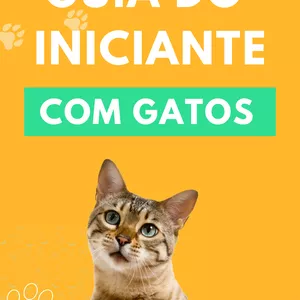 Imagem de capa para o Ebook Guia iniciante com gatos 