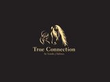 True Connection Horse Academy logo