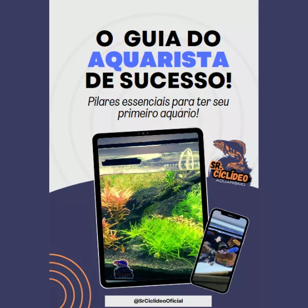 O Guia do Aquarista de Sucesso: Pilares Básicos