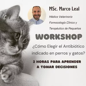 Imagen de portada para Evento online Grabación del Workshop ¿Cómo Elegir el Antibiótico indicado en Perros y Gatos?