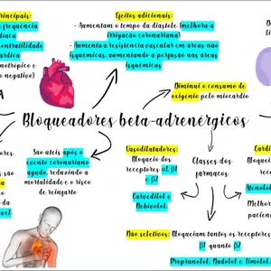 Imagem de capa para o Ebook Mapa mental completo de antianginosos