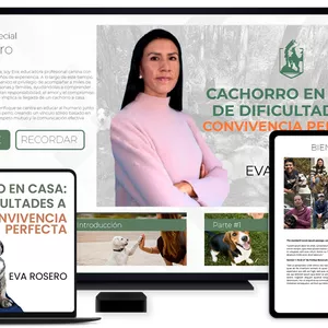 Imagen de portada para Curso online CACHORRO EN CASA: DE DIFICULTADES A CONVIVENCIA PERFECTA