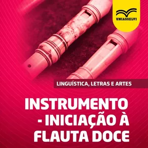 Imagem de capa para o Ebook INSTRUMENTO: INICIAÇÃO À FLAUTA DOCE - Resumo Detalhado