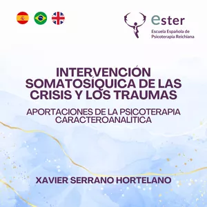 Imagen de portada para Curso online Crisis y traumas
