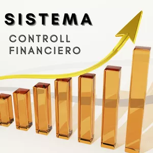 Imagen de portada para Curso online Sistema de Control Financiero