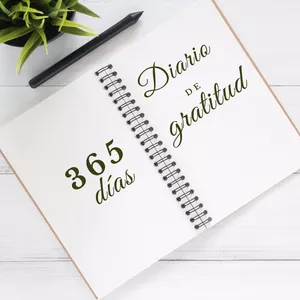 Imagen de portada para Ebook Diario de Gratitud: 365 Días de Positividad