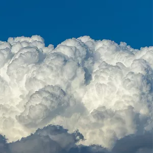 Imagen de portada para Curso online Valiente 