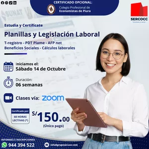 Imagen de portada para Curso online Planilla Electrónica