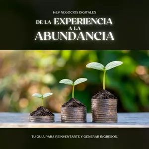Imagen de portada para Ebook De la Experiencia a la Abundancia