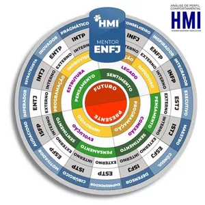 Imagem principal do produto HMI - Análise de Perfil Comportamental 