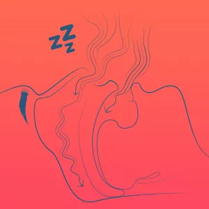 Cover image for Ebook Stop Snoring and Sleep Apnea Program