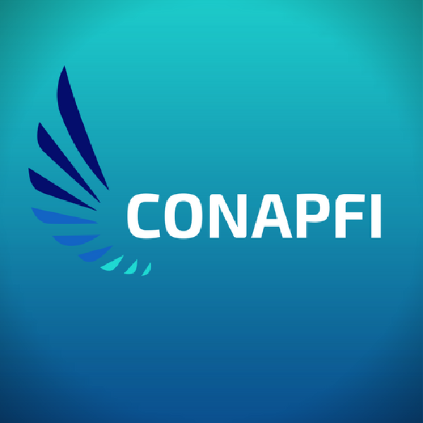 Imagem do curso Programa de Reeducação Mental Financeira - Palestras Exclusivas do Conapfi