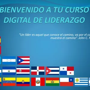 Imagen de portada para Ebook CURSO DE LIDERAZGO