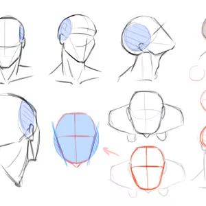 Imagen de portada para Curso online Curso de anatomía - Dibuja sin complicaciones