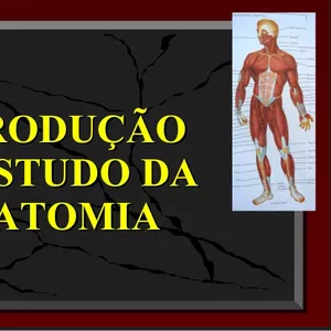 Imagem de capa para o Ebook Introdução á Anatomia 