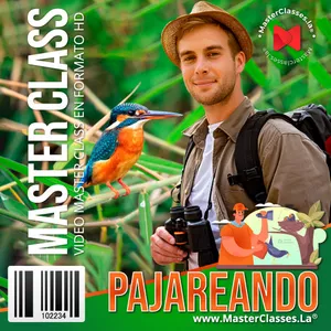 Imagen de portada para Curso online Pajareando