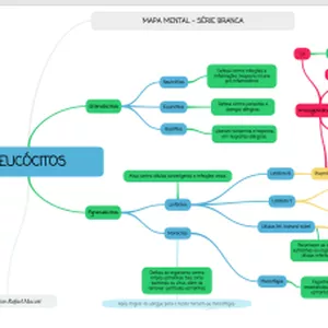 Imagem de capa para o Ebook Mapa Mental Leucócitos - Sistema Imune