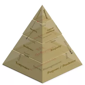 Cover image for Online course Not So Soft SKills Mentorship