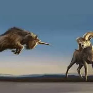 Imagem de capa para o Ebook SEMINÁRIO ESCATOLOGIA 1 - REVELAÇÃO SOBRE OS TEMPOS DO FIM