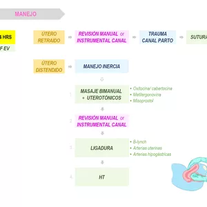 Imagen de portada para Ebook Obstetricia memocuadros
