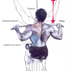 Imagem de capa para o Ebook treino costas do iniciante ao avançado