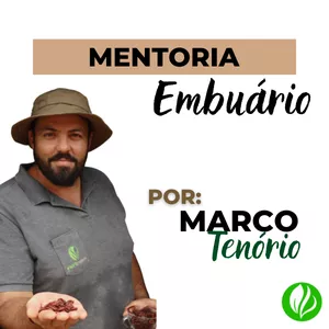 Imagem de capa para o Curso online MENTORIA DE EMBUÁRIO