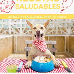 Imagen de portada para Curso online 30 RECETAS CASERAS PARA PERROS