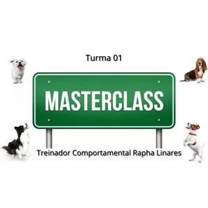 Imagem de capa para o Curso online Master Class 01 com Rapha Linares