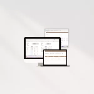 Imagem de capa para o Ebook Planilha financeira para Consultoras de Imagem