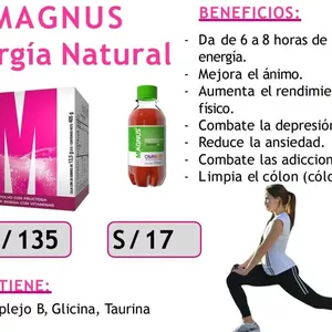 Imagen de portada para Curso online MAGNUS ENERGIA NATURAL