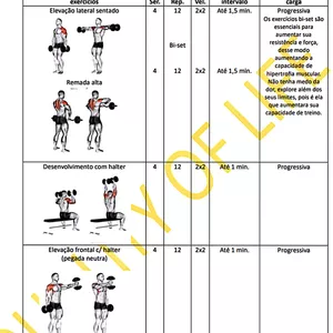 Imagem de capa para o Ebook O treino que vai mudar sua vida