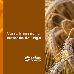 Imagem de capa para o Curso online Curso Imersão no Mercado de Trigo - Safras &amp; Mercado