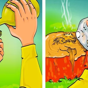 Imagem de capa para o Ebook 36 trucos que te puede. Salvar la vida el 26 te sorprendera