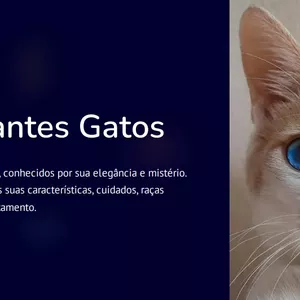 Imagem de capa para o Ebook Os Fascinantes Gatos