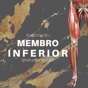 Imagem de capa para o Ebook Apostila de anatomia do membro inferior - @estudosdeduda