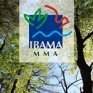 Imagem principal do produto Concurso IBAMA - Conhecimentos básico e específicos para cargo de Ensino médio