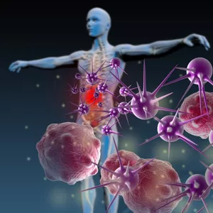 Imagen de portada para Curso online JB Inmune Natural