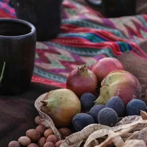 Imagem do curso Nutrição Ancestral