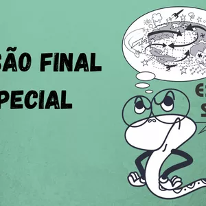 Imagem de capa para o Curso online Revisão Final de Estudos Sociais (História e Geografia)
