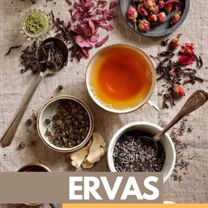 Imagem de capa para o Ebook Ervas e seus Poderes Mágicos