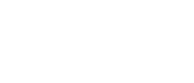 Dan Steel Trading Academy logo
