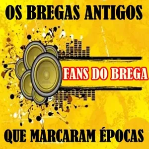 Imagem de capa para o Curso online FANS DO BREGA 