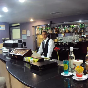Imagen de portada para Curso online CURSO de Barman profesional/ dependiente gastrnomico