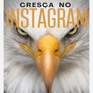 Imagem de capa para o Ebook CREÇA RÁPIDO NO INSTAGRAM 