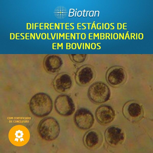 Capa do curso 