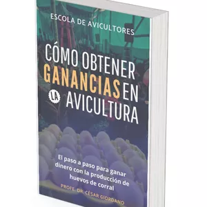 Imagen de portada para Curso online Cómo obtener ganancias com en la avicultura