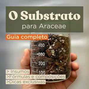 Imagem de capa para o Ebook O Substrato para Araceae - GUIA COMPLETO
