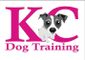 Training dogs with Alexis from Kent Companion Dog Training