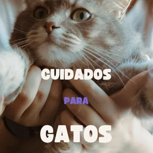 Imagen de portada para Ebook Guía Completa de Cuidados para Gatos