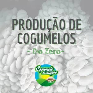 Imagem principal do produto Produção de Cogumelos do Zero - PREÇO PROMOCIONAL (De: R$ 1.000 - Por: R$ 497)